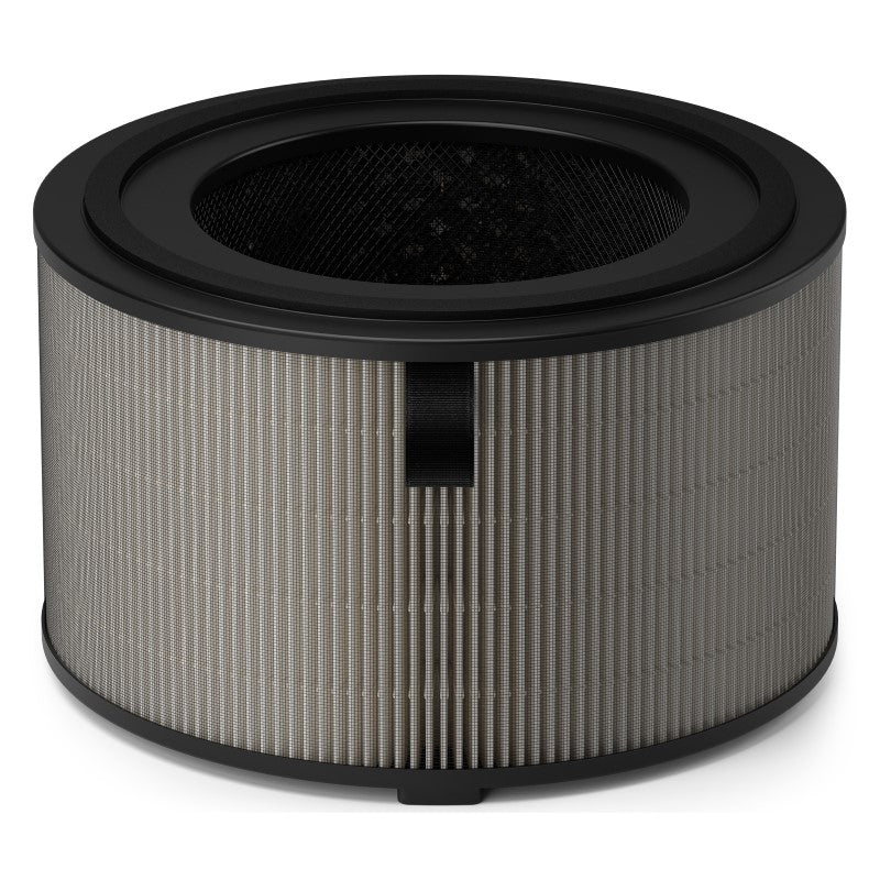 PHILIPS HEPA & AC FILTER 4200 SERIES 2PK