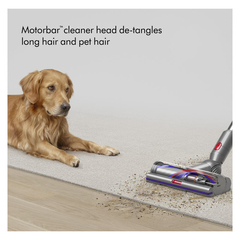 Dyson V15 2026 Detect Absolute Stick Vacuum