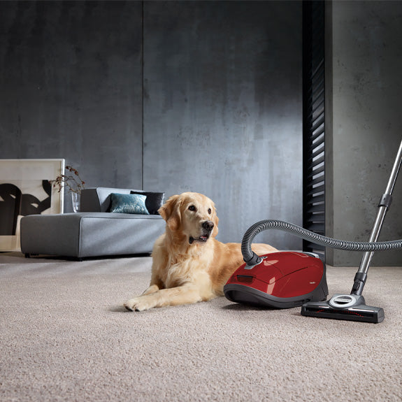 Miele Complete C3 Cat & Dog Bagged Vacuum Cleaner - Red
