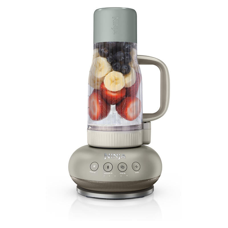 Ninja BlendBOSS Tumbler Blender - Stone Mint